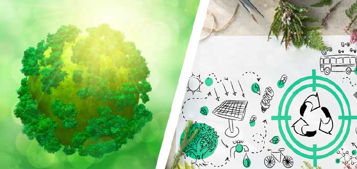 Greenwashing Greenwashing