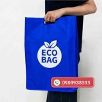 Túi vải hột xoài theo yêu cầu