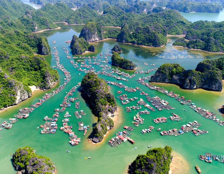 Xu Hướng Quà Tặng Du Lịch Xu Hướng Quà Tặng Du Lịch
