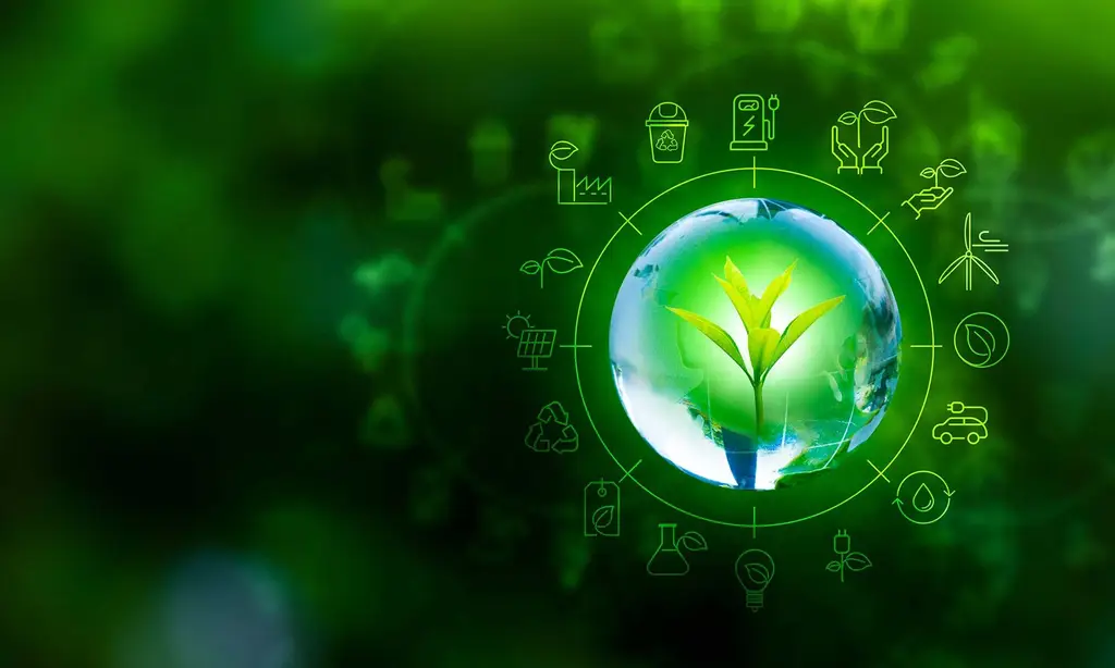 🌿 Túi Vải Sinh Học Bio-based: Giải Pháp Bao Bì Xanh Nâng Tầm Doanh Nghiệp Việt